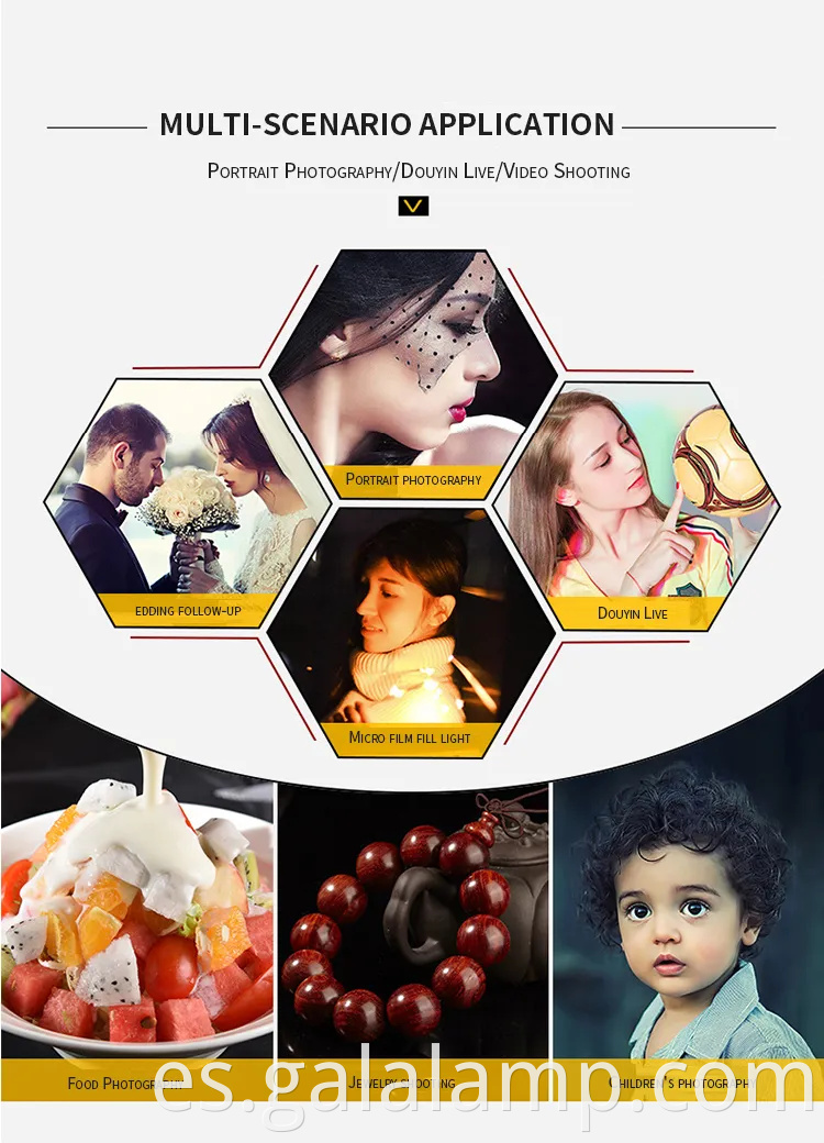 Luz de panel LED de 14 pulgadas para transmisión en vivo profesional